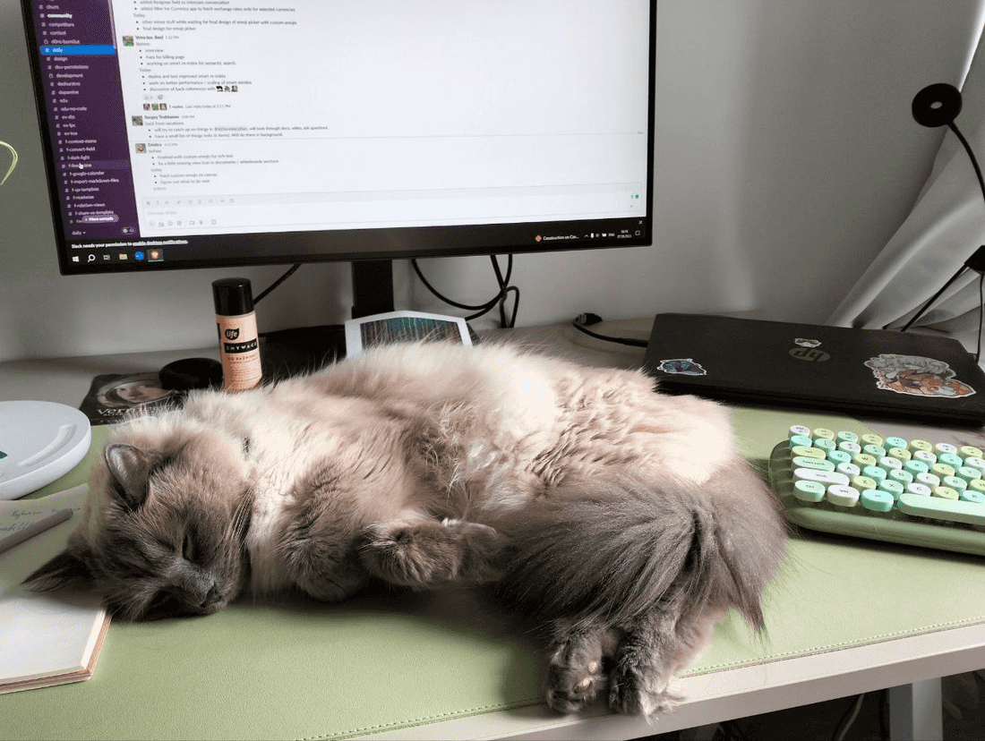 Polina in her natural habitat and natural state of mind.