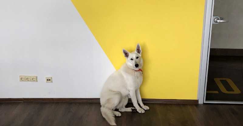 #12. Controlled Panic in July 2019