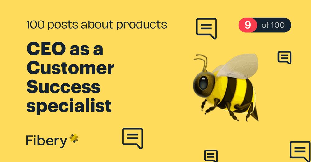 CEO as a Customer Success specialist [9/100]